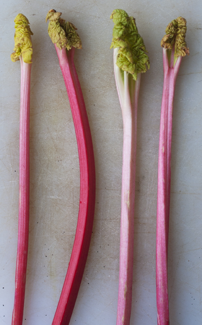 Rhubarb Pink+Cream Pom Pom Trimming – O L I V E + D A I S Y